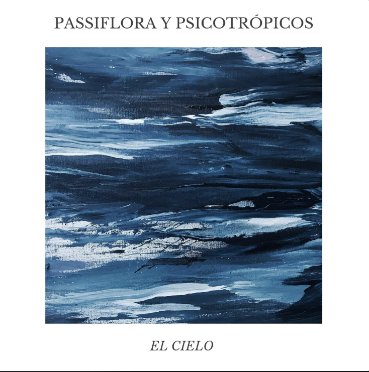 Proyecto 6