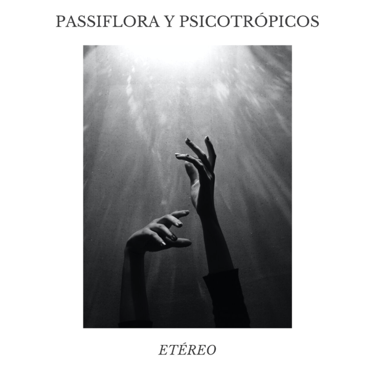 Proyecto 8